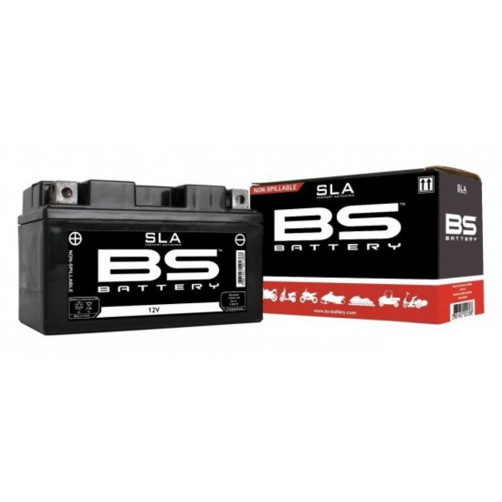 Battery for YCF Start F88SE, Start F125SE, YCF 50A from 2020, WPB Beast 190 (BS Battery)