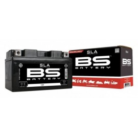 Battery for YCF Start F88SE, Start F125SE, YCF 50A from 2020, WPB Beast 190 (BS Battery)