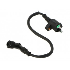 Ignition coil model 1