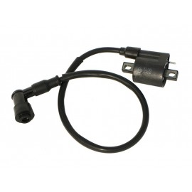 Ignition coil model 2