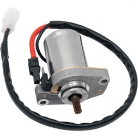 Starter motor (2)