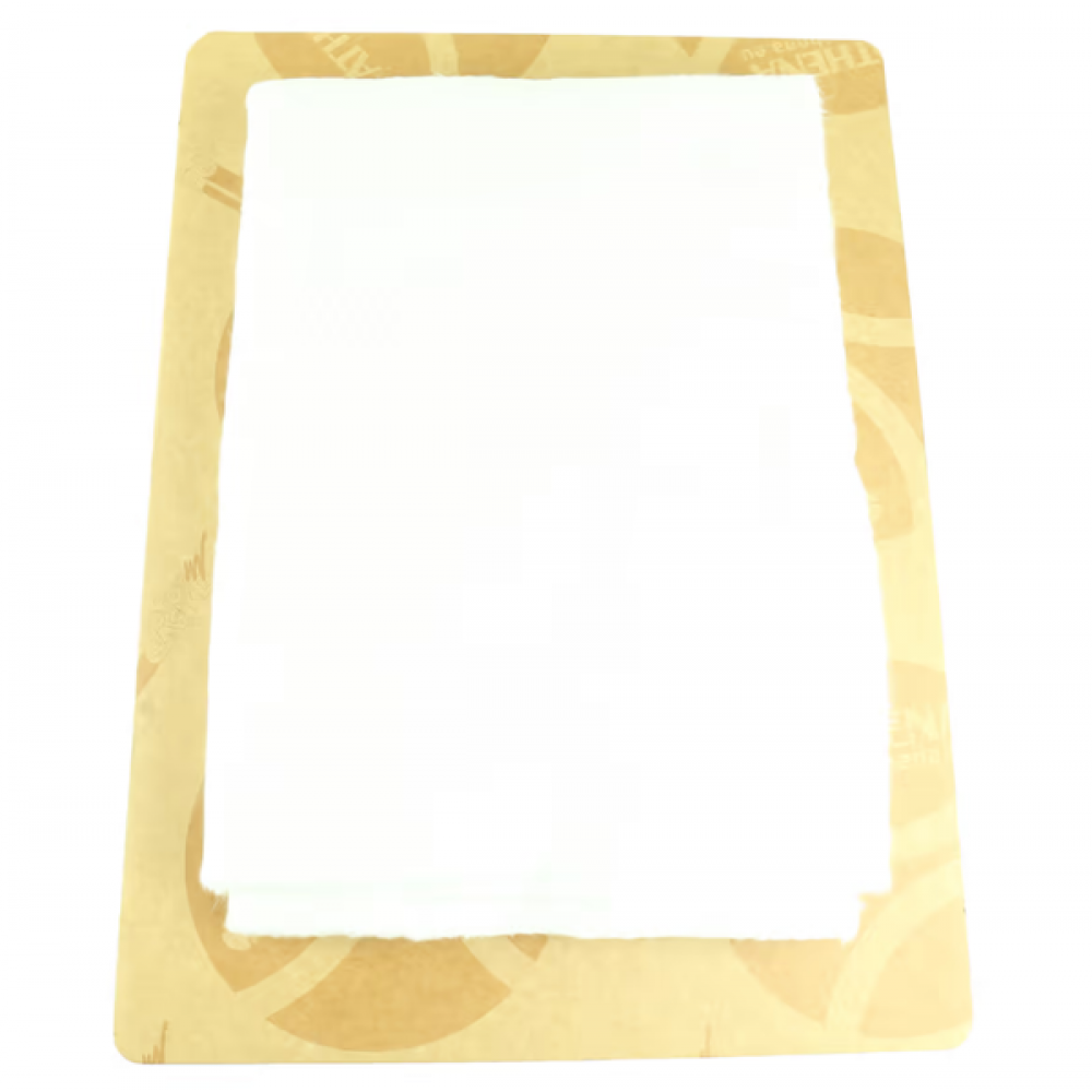 Polnilo za izpuh Athena 500x700mm