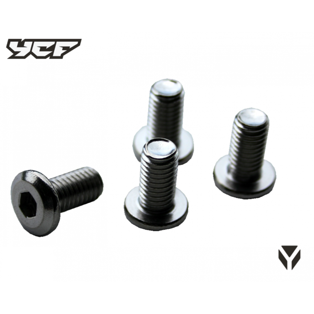 Brake disc bolts M8x15 4pcs for YCF disc