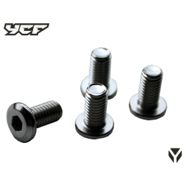 Brake disc bolts M8x15 4pcs for YCF disc